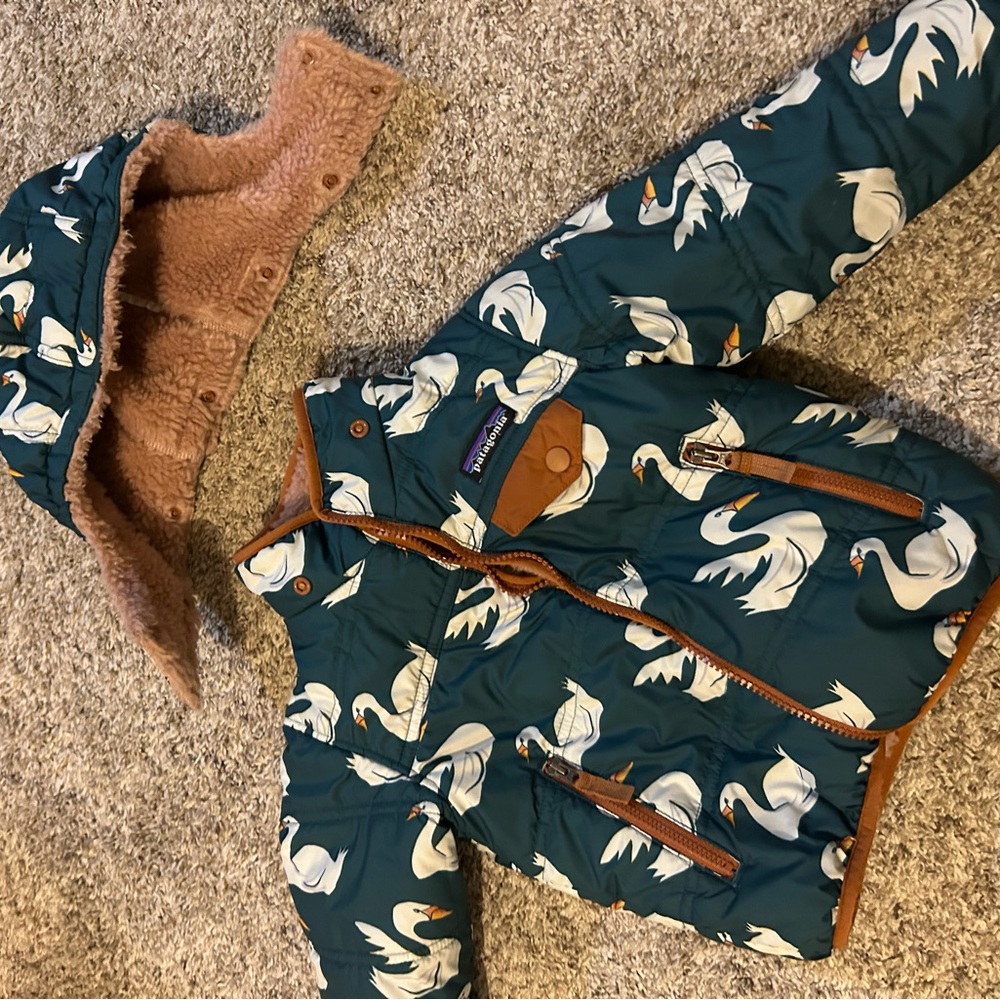 Patagonia reversible coat.